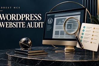 audit your wordpress website and provide an improvement plan