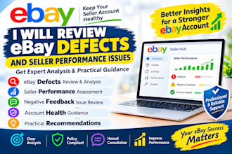 review ebay defects and seller performance issues
