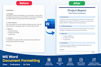 professionally format and edit your ms word documents