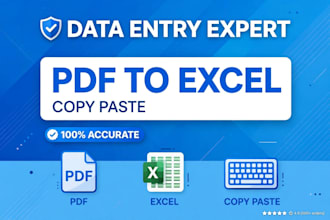 convert PDF to excel, image to excel with 100per accuracy