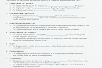 draft professional legal notices, agreements and legal documents