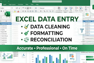 do excel data entry formatting cleanup and reconciliation