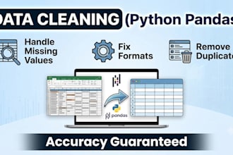 do data cleaning and data processing using python pandas
