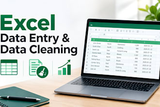 do ms excel data entry data cleaning and data management