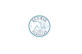 design awesome horse trainer logo