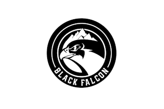 design black falcon powerful sports team logo