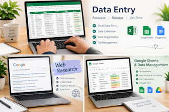 ido professional data entry and web research