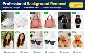 provide high quality image background removal and transparent pngs