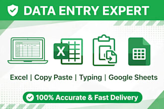 do accurate data entry excel copy paste typing and web