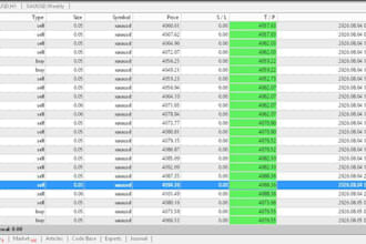 manage mt4 mt5 account management, mt4 account management, account manager prop