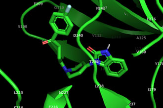 do molecular docking and docking score analysis