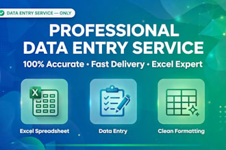 do accurate data entry and excel spreadsheet