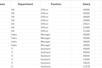 do excel data entry and spreadsheet formatting
