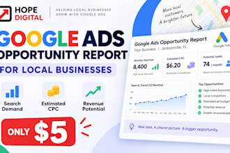 create a google ads opportunity report for your local business