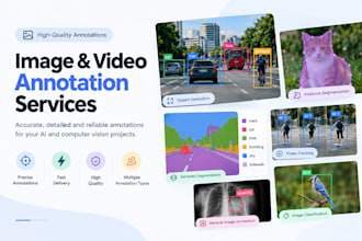 do professional image and video annotation for ai and computer vision