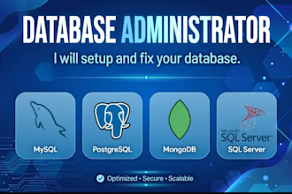 develop sql server database and maintain the database