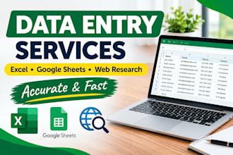do accurate data entry,web research and exel data processing
