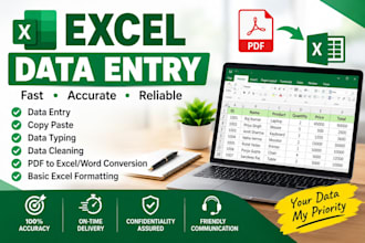 do excel data entry and data cleaning