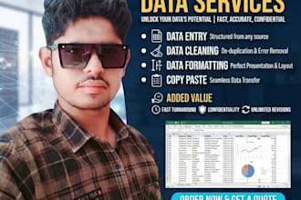 do professional excel data entry, data cleaning,data sorting