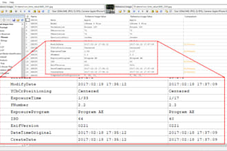 analze files, images for hidden metadata, exif info or embedded data