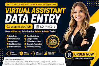 create professional data entry and web research services