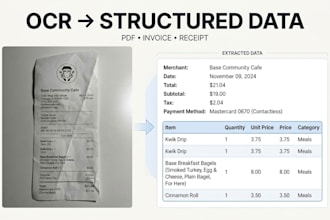 build document ai and ocr data extraction solutions with python