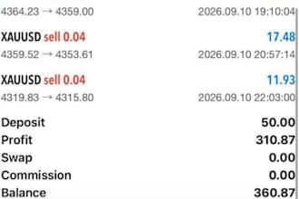 gold ea robot xauusd ea robot scalp ea robot gold trading ea bot scalping robot