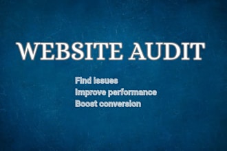 do audit website professionaly