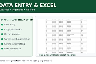 do accurate data entry and excel work