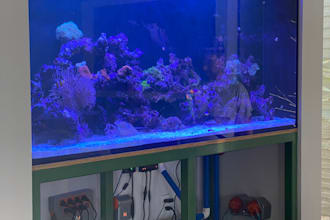 review your aquarium setup and give improvement recommendations