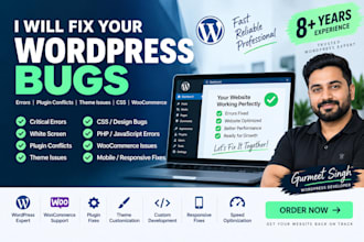 fix wordpress bugs, errors, issues, and website problems