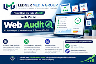 do technical SEO web audit and onpage optimization