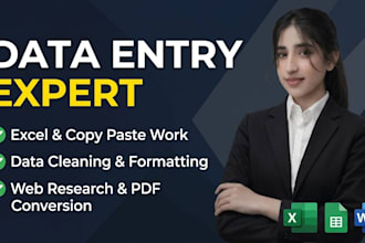do accurate data entry,insert data and copy paste work