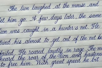 do hand writing assignment job