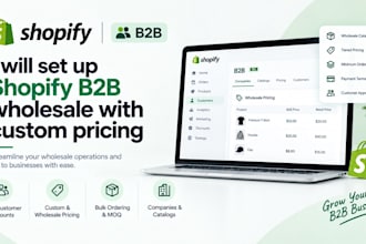 set up shopify b2b wholesale ecommerce store  with custom pricing