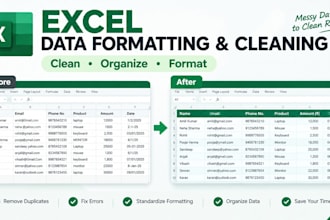 do excel data formatting and cleaning