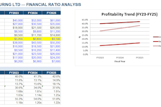 perform financial ratio analysis and interpretation