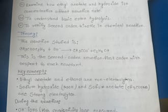 write anything with my beautiful and clean hand writing