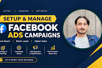 set up facebook ads campaigns for products, services and online stores