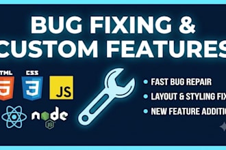 fix web bugs, repair layout errors, and add custom features to your website