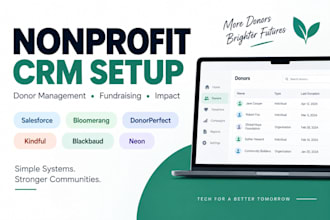 set up nonprofit CRM salesforce bloomerang and neon