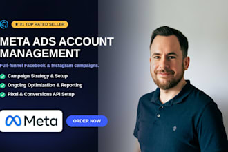 manage your meta ad accounts