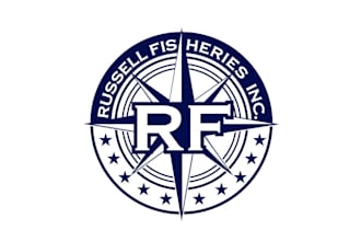 create high quality and beautiful compass logo design