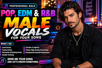 be your male songwriter and ghostsinger  for christmas song