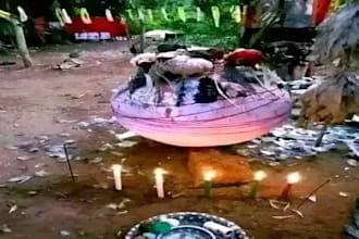 cast powerful akashic custom wish spell for anything