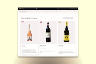 create a professional and fast website for your business