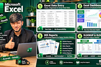 provide professional excel services