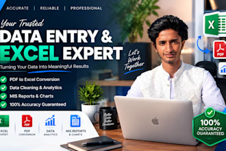 do expert excel data cleaning, formatting and deduplication