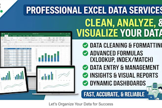 do excel data cleaning, data entry, and data analytics with insights