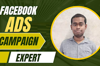 run facebook ads campaign for you